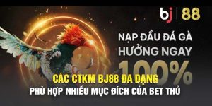 Khuyến mãi đá gà 100%