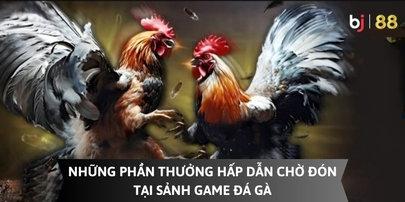 Giới thiệu sự kiện ưu đãi lên đến 100% cho sảnh đá gà