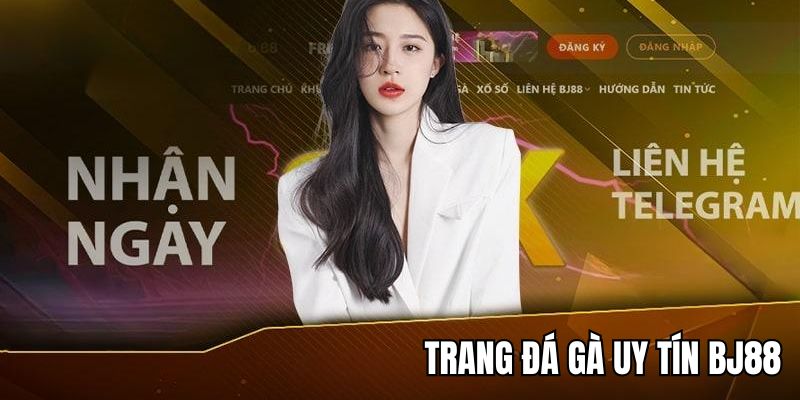 Những lưu ý quan trọng khi tham gia trang cá cược đá gà trực tuyến