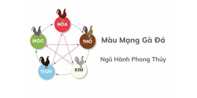 Xem màu mạng gà đá tại BJ88 là gì?