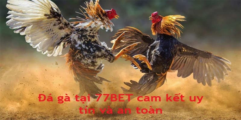 Nhà cái 77BET cam kết an toàn, uy tín sẽ luôn là ưu tiên hàng đầu